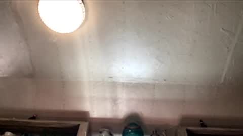 countryjoe2002 online show from 12/18/25, 06:47