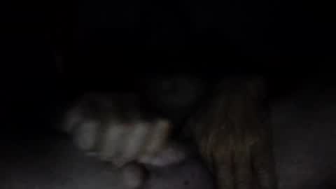                 online show from 06/02/26, 12:29
