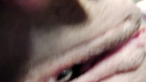 Im Courtney Nice to meet youFollow meInstagram courtneyluv778 online show from 01/30/25, 03:40