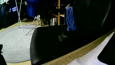 coyote017 online show from 02/01/25, 06:00