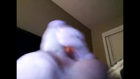 Cranada777 online show from 02/24/25, 01:21