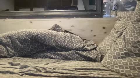 Snapshot of crapaud75018 chatting on 01/08/25, 06:20 crapaud75018 online show from 01/08/25, 06:20