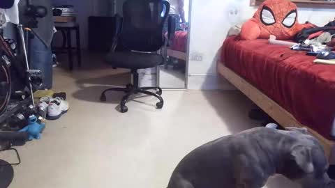 drbucknaked online show from 04/16/26, 11:07