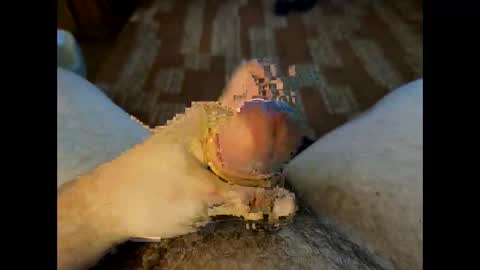 Crazycock online show from 03/23/26, 04:22