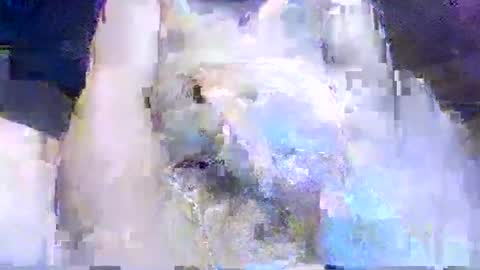 crazydog3690 online show from 03/12/26, 01:34