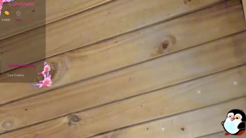 Cristal online show from 03/22/26, 04:05