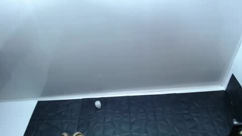 Hanna  online show from 12/17/24, 10:12