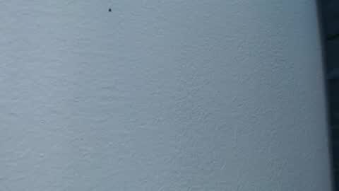 Hanna  online show from 02/15/25, 06:02