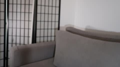 Laura online show from 01/17/26, 09:29