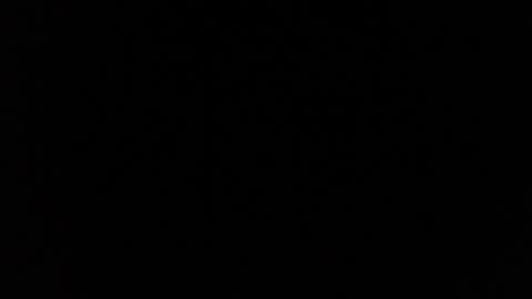 cristal miller online show from 04/16/26, 09:39