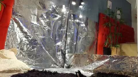 Cris  online show from 03/25/26, 07:31