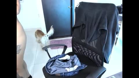 Snapshot of cristinasweet7 chatting on 11/30/25, 03:32 cristinasweet7 online show from 11/30/25, 03:32