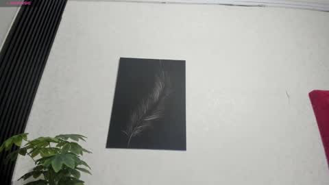 cristopher23  online show from 02/02/25, 07:57