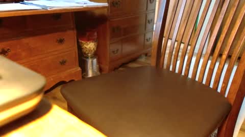 Snapshot of crushit chatting on 09/14/25, 10:09 Crushit online show from 09/14/25, 10:09