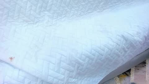 crystal_sm online show from 02/13/26, 03:13