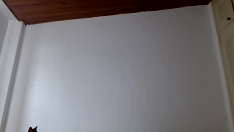 Snapshot of crystal_starx chatting on 07/18/26, 03:49 Crystal Blaze online show from 07/18/26, 03:49