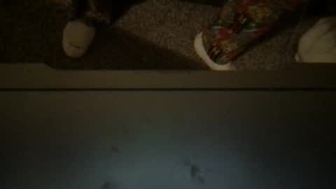 CuddleFuckXXX online show from 04/03/26, 03:15