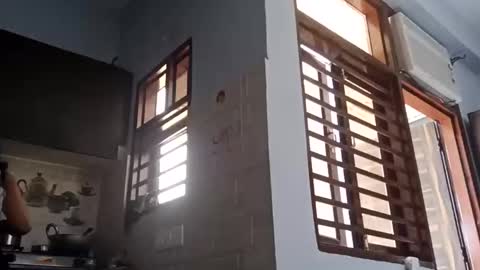 cuddlemuffins online show from 03/01/26, 05:42