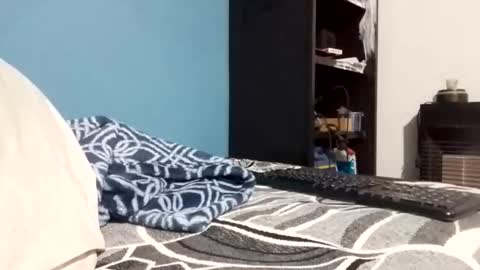 cumbian_chero online show from 02/23/26, 11:07