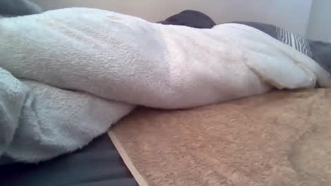cummbumm69 online show from 06/08/26, 04:40