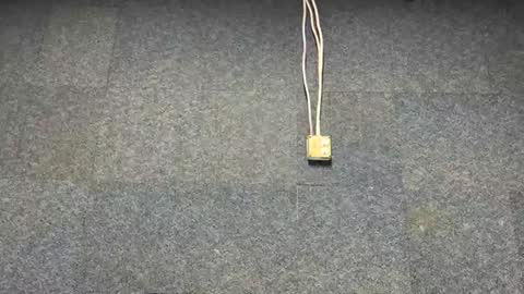 Brian online show from 12/03/25, 07:01