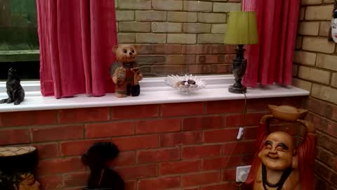 cumonherguys online show from 06/04/26, 01:50