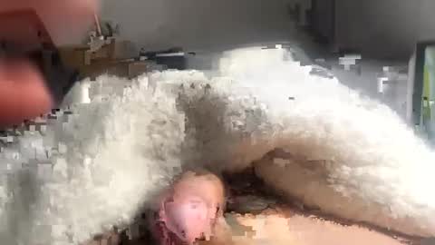 cumonmyf33t online show from 02/22/25, 12:19