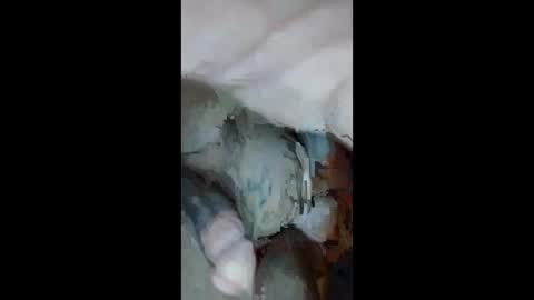 Aprilia online show from 09/23/25, 10:51