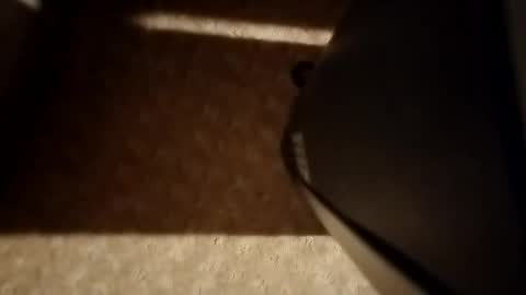 cumwith_me80 online show from 04/08/26, 09:31