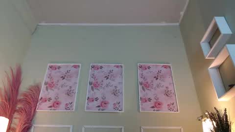 DANI online show from 11/20/25, 12:05