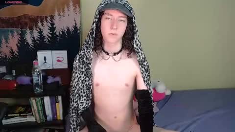 Snapshot of curlyytwink chatting on 12/19/24, 04:02 Noah online show from 12/19/24, 04:02