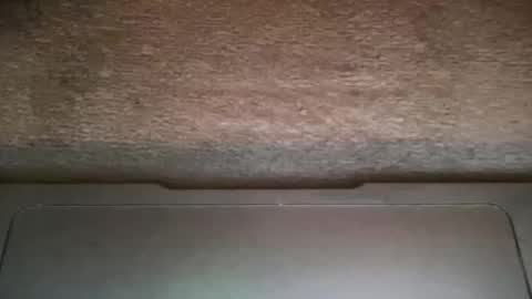 ALAN online show from 11/20/25, 12:22