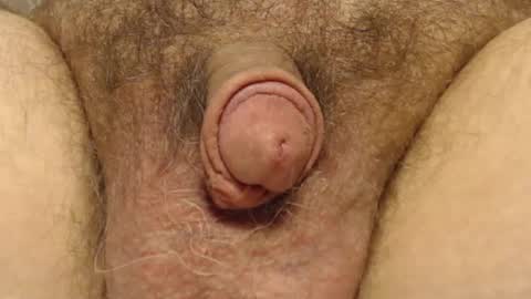 Snapshot of curve66 chatting on 02/06/25, 04:25 curve66 online show from 02/06/25, 04:25