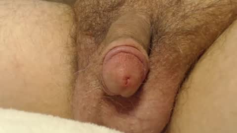 Snapshot of curve66 chatting on 10/16/25, 12:55 curve66 online show from 10/16/25, 12:55