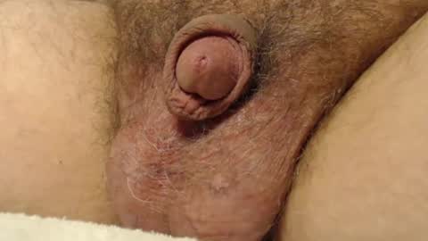 Snapshot of curve66 chatting on 11/17/25, 11:10 curve66 online show from 11/17/25, 11:10