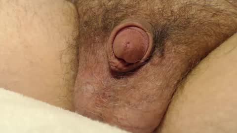 Snapshot of curve66 chatting on 12/04/25, 03:38 curve66 online show from 12/04/25, 03:38