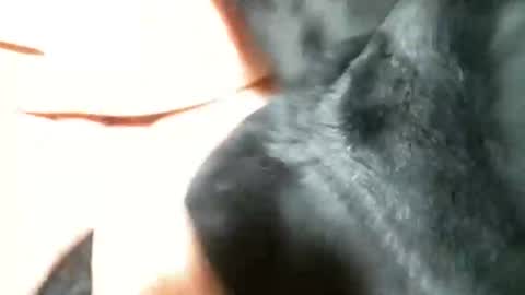 BI SMOOTH MATURE  SUB online show from 03/05/25, 11:27