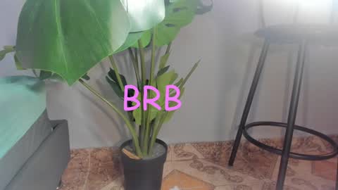 Stacy online show from 12/13/24, 08:30