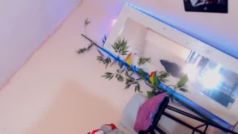 danny online show from 12/17/24, 03:17