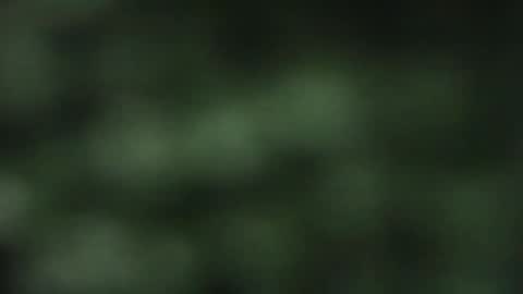 cuteeboy online show from 10/18/25, 08:09