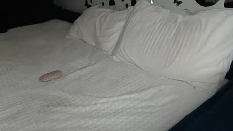 Snapshot of cuteemouse chatting on 01/27/25, 01:52 Anna online show from 01/27/25, 01:52