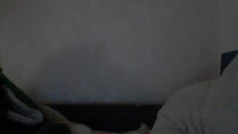 cutekattie online show from 12/09/24, 08:00