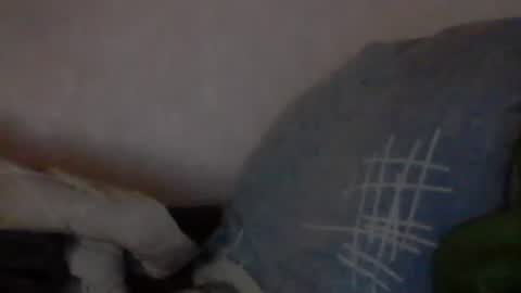 cutekattie online show from 01/09/25, 03:58