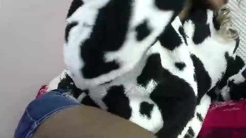 cutezola online show from 03/27/26, 08:26