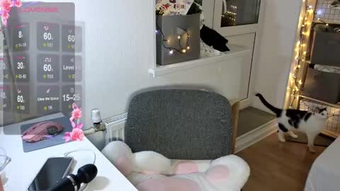 Alice  online show from 12/05/24, 02:11