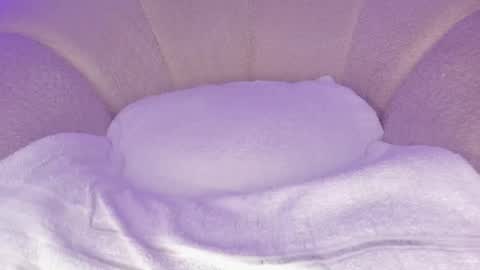 Hannah online show from 12/02/25, 06:58