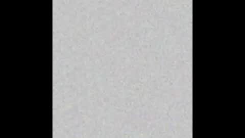 Wedito online show from 12/17/25, 08:20