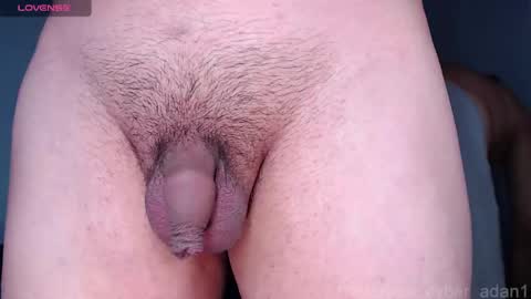 Snapshot of cyber_adan1 chatting on 01/16/25, 01:58 cyber online show from 01/16/25, 01:58