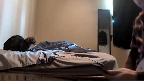 Snapshot of da_man411212 chatting on 02/19/26, 10:06 da_man411212 online show from 02/19/26, 10:06