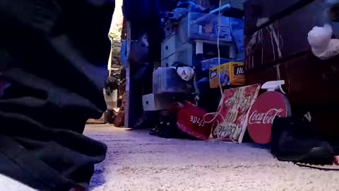 dabangaz4life online show from 12/04/24, 05:49